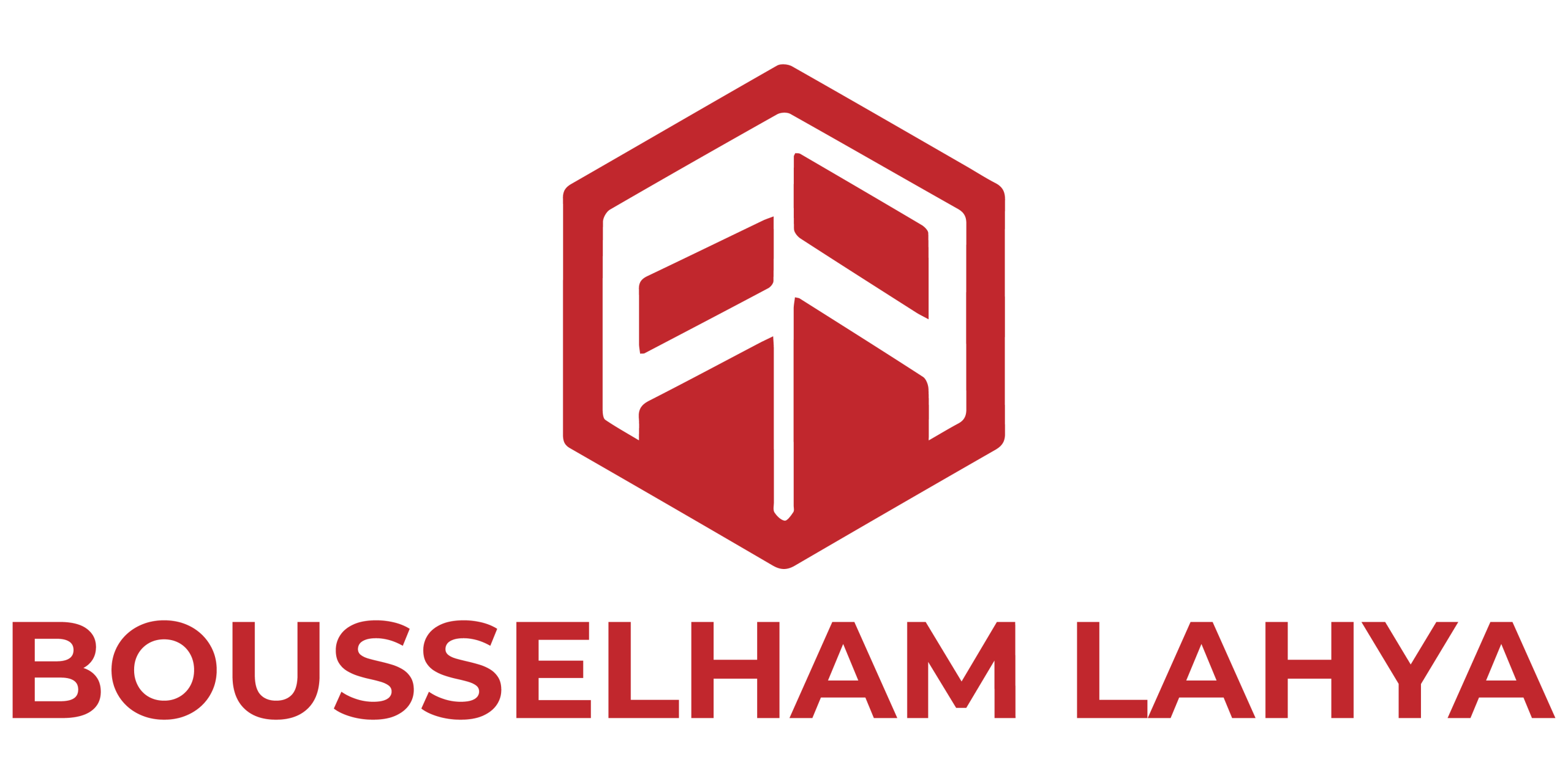 Logo de BOUSSELHAM LAHYA